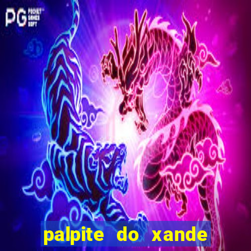 palpite do xande de hoje