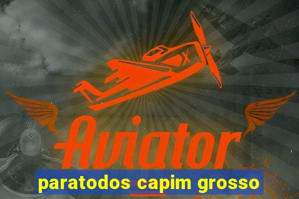 paratodos capim grosso