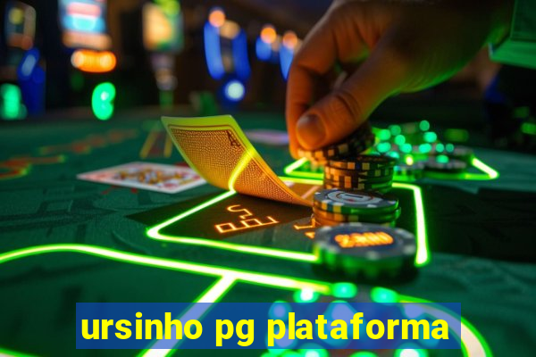 ursinho pg plataforma