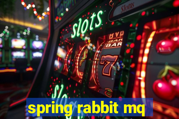 spring rabbit mq