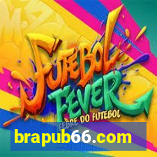 brapub66.com