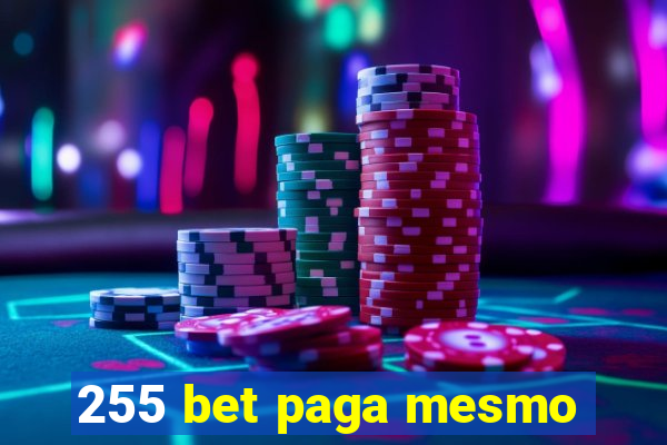 255 bet paga mesmo