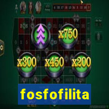 fosfofilita