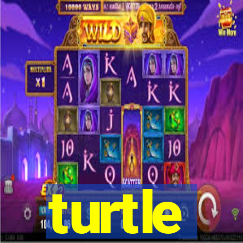 turtle-ty.com