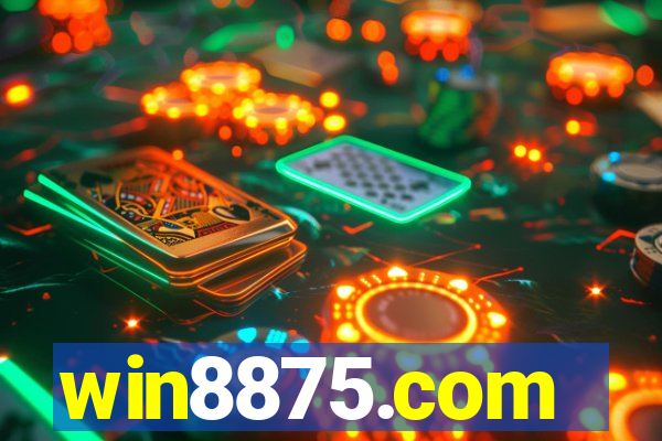 win8875.com