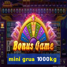 mini grua 1000kg