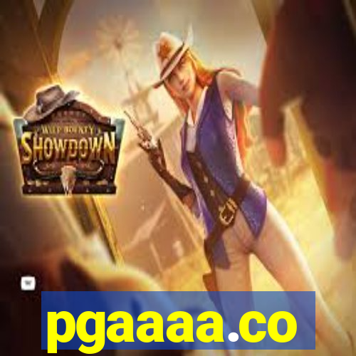 pgaaaa.co